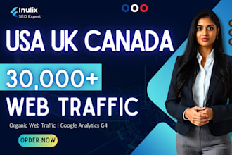 drive organic USA  web traffic premium quality