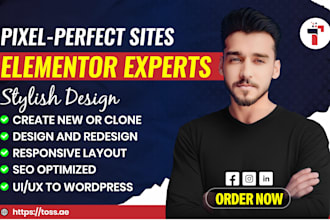 design elementor landing pages and full wordpress websites