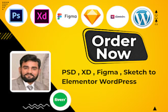 be your elementor expert for elementor wordpress website