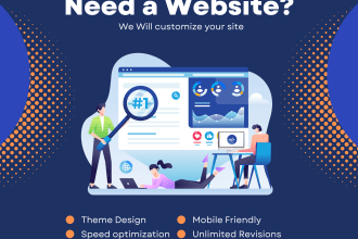 do wp theme installation, theme customization, website modification