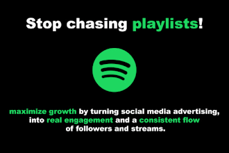 run targeted ads for your spotify and youtube channel
