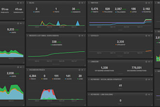 provide professional data analysis and visualization services