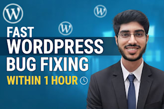 fix wordpress bug, wordpress error, theme plugin bug