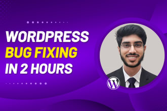 fix wordpress bug, wordpress error, theme plugin bug