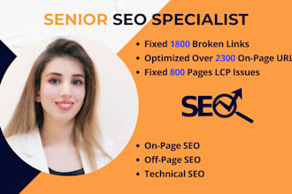 skyrocket your online presence with professional onpage SEO services