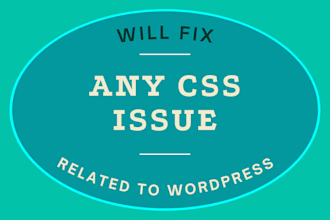 solve wordpress css issue