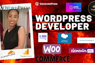 design, redesign, or fix a wordpress website