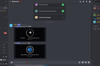 make a discord server for you and meet you custom requests