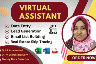 virtual assistant for data entry, lead generation, email lists, real estate data