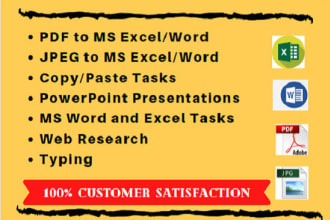 do accurate data entry and file conversion