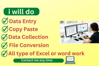 do accurate data entry, copy paste, web research,typing work job and admin task