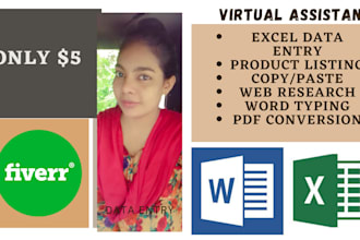 be your VA for data entry and web research
