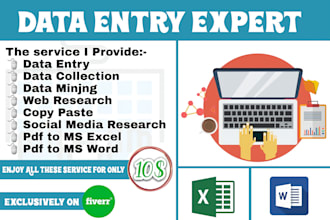 be your virtual assistant for data entry and web research