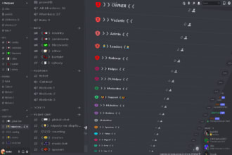 manage or create your own discord server