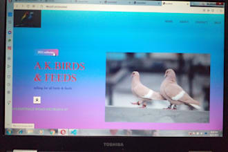do HTML web site