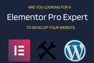 create any website using elementor, elementor pro page builder, elementor expert