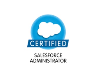 be your salesforce admin