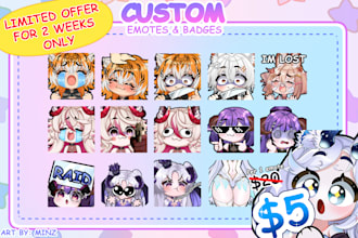 do custom twitch emotes or badges