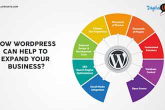 responsive wordpress website design and developer