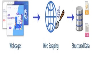 do any web scrapping using vba and python selenium along with API integration