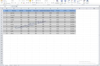 do data entry, data management and data collection