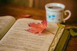 make an accurate transcript and proofread for you