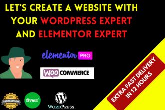 be your elementor expert and wordpress expert