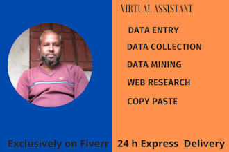 do data entry ,copy paste job