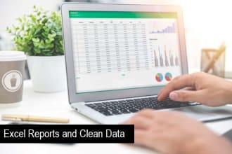 help you with excel, create reports and clean data