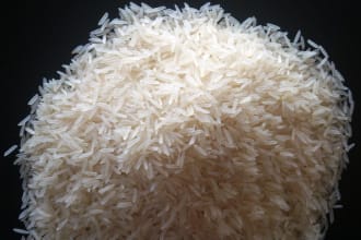 sell High Quality Basmati Rice