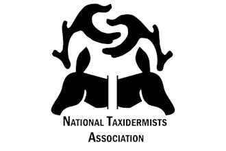 help create a minimal, but loud logo