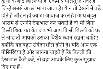 manually translate hindi, finnish, russian, spanish
