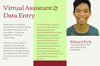 be your virtual assistant for data entry, copy paste job, and research