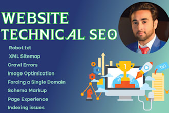 do complete website technical SEO