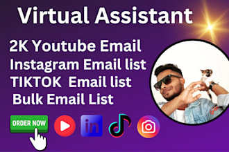 find influencer email lists for instagram, youtube, and tiktok in 24 hours