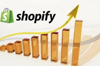 run  sales ecommerce shopify marketing  promotion and traffic to boost sales