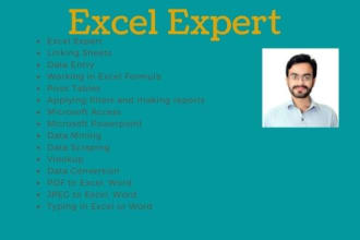do data processing, vlookup in excel, data conversion etc