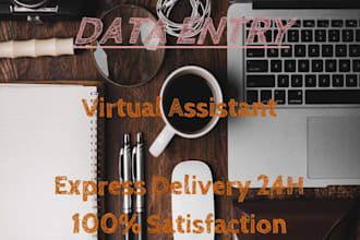 do data entry, copy paste job
