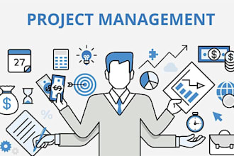 help in project management assignment and related task needs