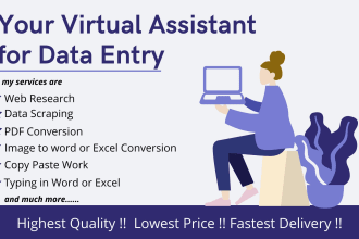 do data entry,web scraping, file conversion and copy paste