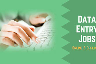 do perfect data entry, web research and copy paste