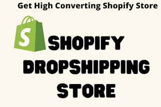 build shopify dropshipping and pod store, shopify website