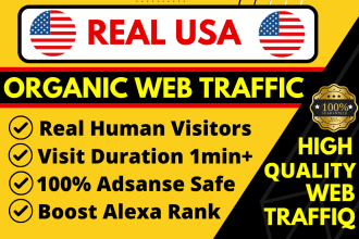 drive organic USA web traffic to your website for 30 days