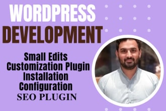 rebuild, edit the wordpress website, wordpress customization