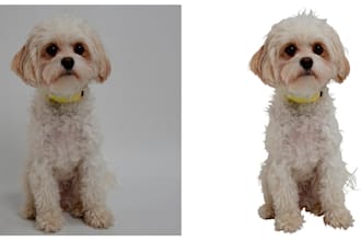 cut out background of any photo or image
