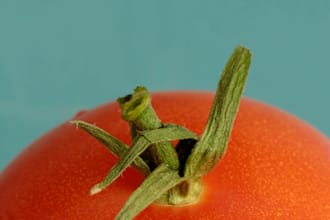 professional and creative product photography