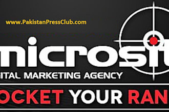 audit your website for SEO and search engine optimization, for google win