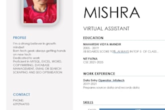 do perfect data entry, copy paste, web research