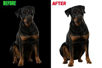 remove the photo background within 1 hour and lowest price
