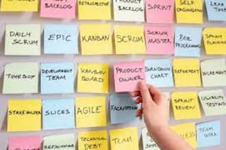be a product owner to manage your product